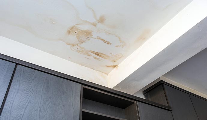 Damp ceiling or mold on the ceiling