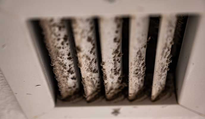 HVAC Mold Remediation in Benton & Conway