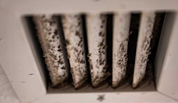 Mold damaged HVAC vent Mold damaged HVAC vent