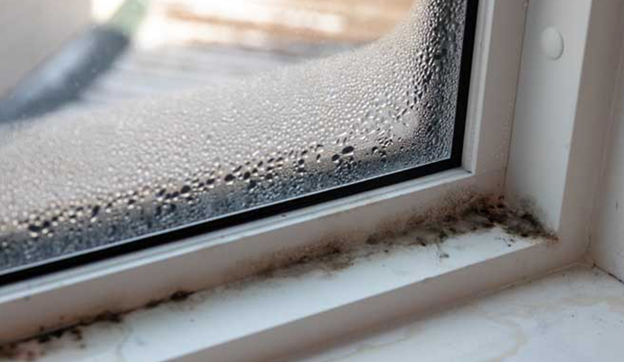 Mold damaged window corner Mold damaged window corner