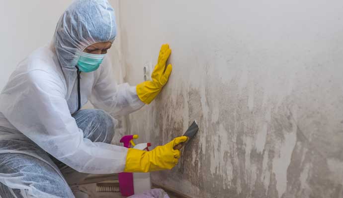 Person cleaning mold from wall using equipment