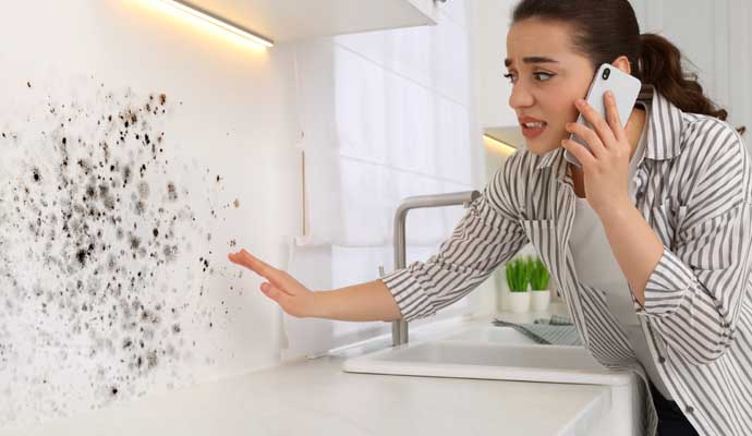 A person on the phone pointing at a moldy kitchen wall