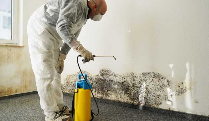 Person cleaning mold with equipment