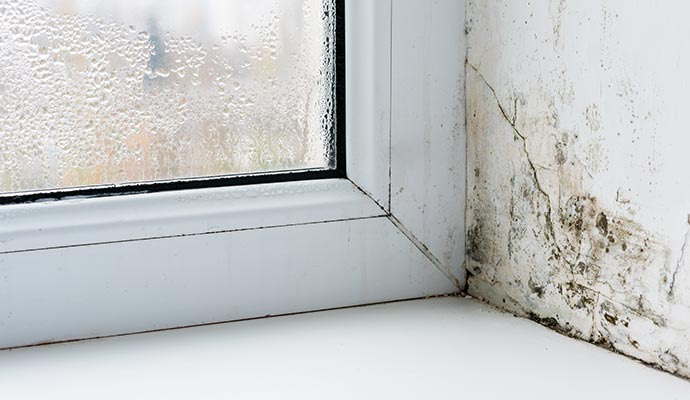 A moldy window corner