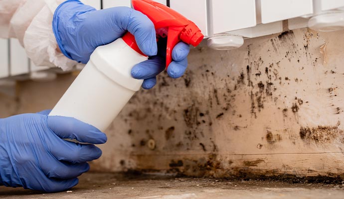 Person cleaning mold with equipment