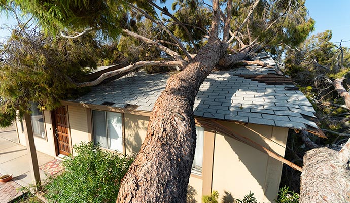 Insurance claim for damaged roof