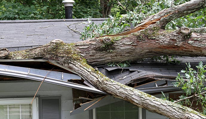 Storm damaged roof