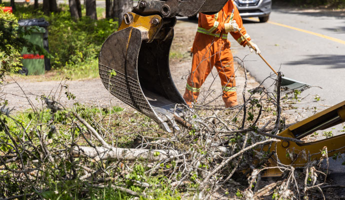 A person cleaning debris from a fallen tree on the roadway