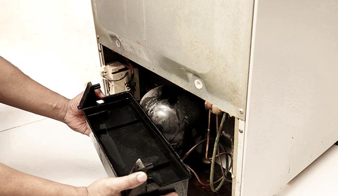 Professional inspecting refrigerator leaks