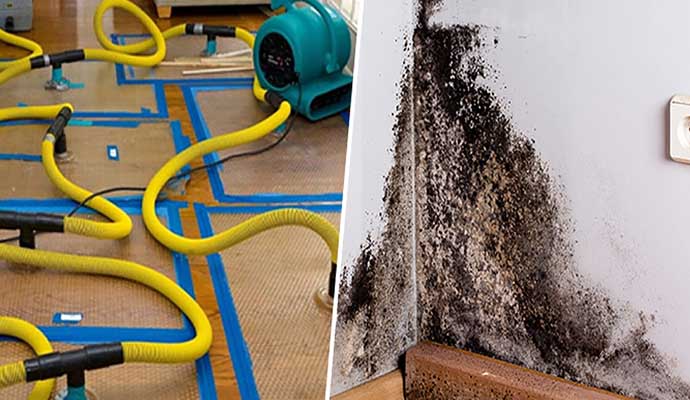 Collage of water extraction equipment and mold damaged wall