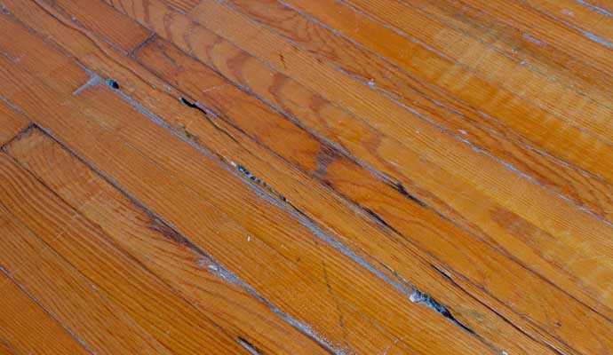 Close-up view of a damaged wood floor