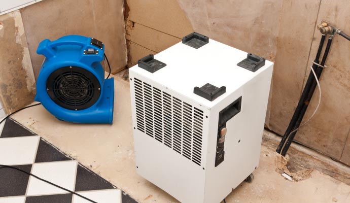 Plumbing leak cleanup with professional equipments