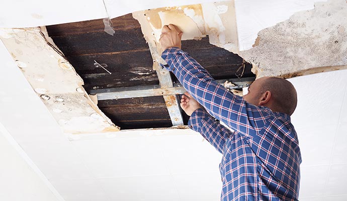 Professional repairing damaged ceiling