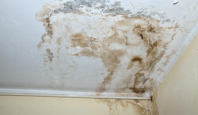 Visible mold on ceiling.