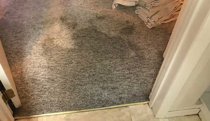 Carpet Water Damage in Little Rock & Conway