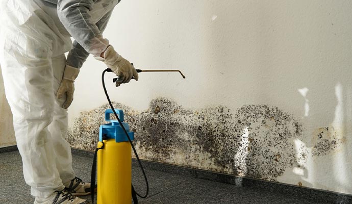 Professional worker remediating mold